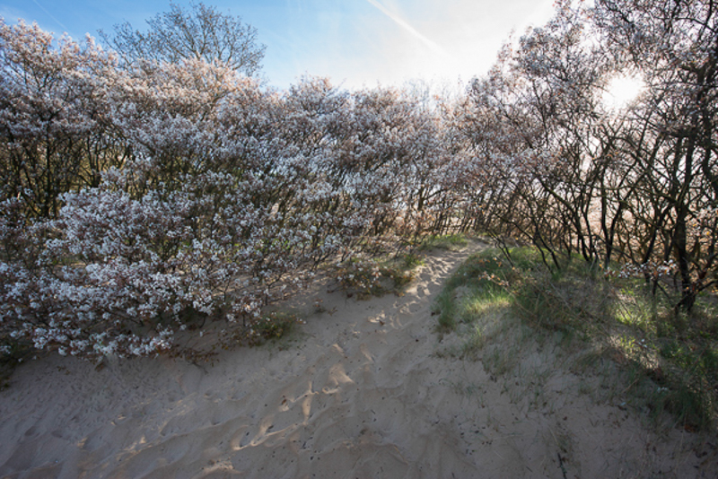 Zuiderheide Hilversum